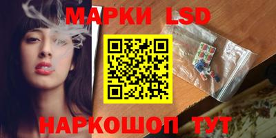 PSILOCYBIN Кудымкар