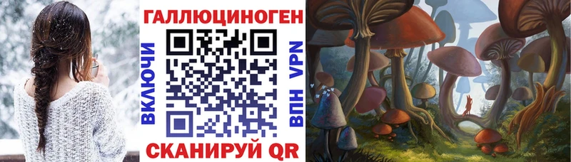 Псилоцибиновые грибы Psilocybine cubensis  Апатиты 