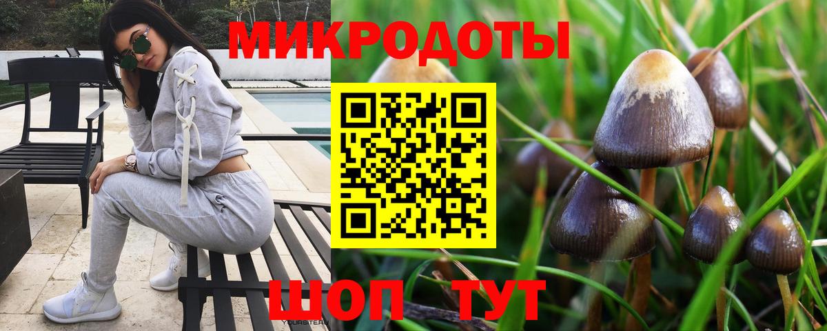 Галлюциногенные грибы ЛСД Апатиты
