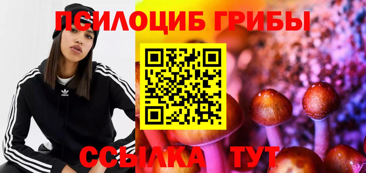 Псилоцибиновые грибы прущие грибы  Вход с VPN  Псилоцибиновые грибы MAGIC MUSHROOMS  Апатиты 